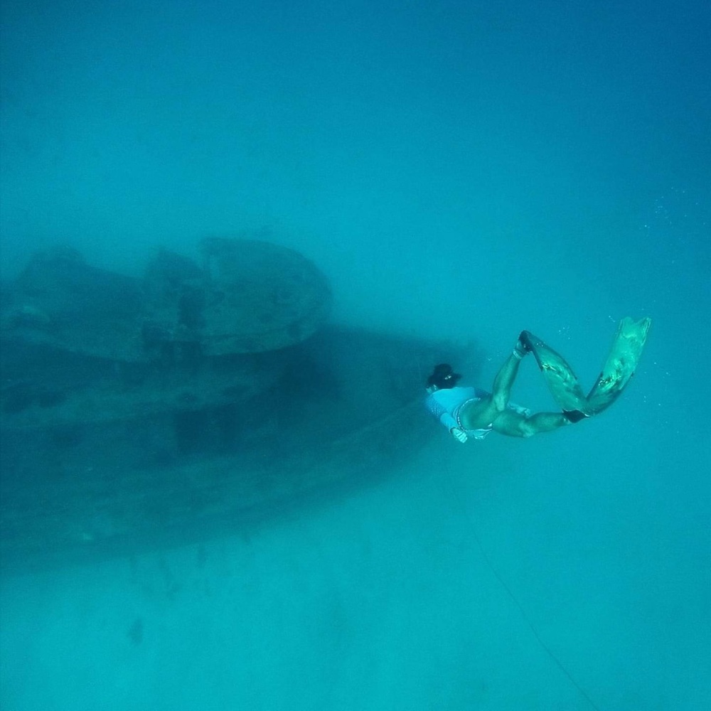 Meet your Posher, Annie